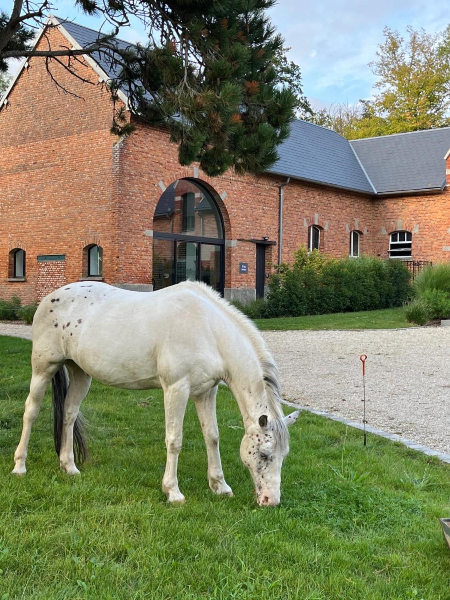 Aux Bois Dores De La Ferme De Sorval, Animaux De La Ferme, Fitness Selvigny Kültér fotó
